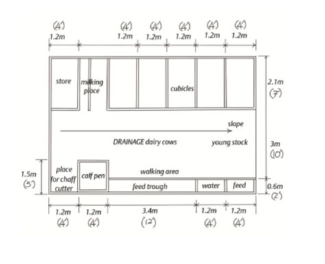 Cattle Barn Designs, Cow Shed Design, Cattle Housing, Shed Design Plans, Shed Floor Plans, Cattle Barn, Cow Shed, Cow House, Horse Shelter