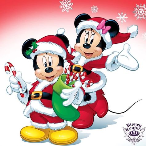 Christmas - Disney - Mickey & Minnie Mouse Natal Do Mickey Mouse, Disney Merry Christmas, Minnie Y Mickey Mouse, Christmas Mickey, Minnie Mouse Christmas, Charmmy Kitty, Minnie Christmas, Mickey Mouse Wallpaper, Merry Christmas Images