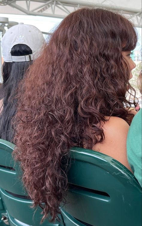 Red Curly Hair On Brown Skin, Brown With Red Undertones Curly Hair, Copper Burgundy Brown Hair, Cherry Wine Curly Hair, Curly Hair Copper Brown, Cherry Brunette Curly Hair, Curly Mahogany Hair, Chocolate Cherry Hair Color Dark Curly, Dark Auburn Hair Curly