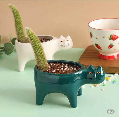 Cat Cactus, Cute Animal Vases, Pottery Cat Vase, Cat Vase Ceramics, Cat Planters Ceramic, Cactus Plant Pots, Planting, Cactus Planta, Flower Pot Garden