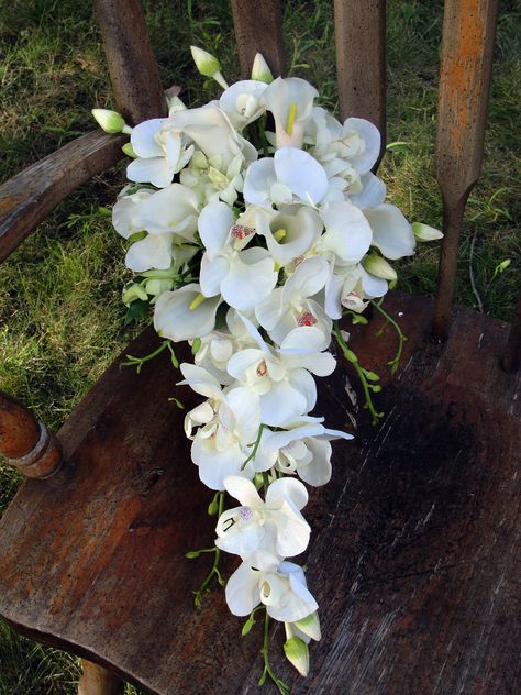 Cascading Phalaenopsis orchids and miniature calla lilies White Orchid And Calla Lily Bouquet, Calla Lily Bridal Bouquet Cascading, Calla Lily And Orchid Bouquet, Orchid Bridal Bouquets, Calla Lily Bridal Bouquet, Filipino Wedding, Calla Lily Bridal, Cascading Wedding Bouquets, Tiffany Blue Wedding