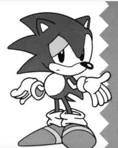 Sonic Black And White, Sonic The Hedgehog Fanart, Sonic And His Friends, Sonic O, Sonic And Tails, Sonic Tails, Classic Sonic, Speed Art, Sonic Friends