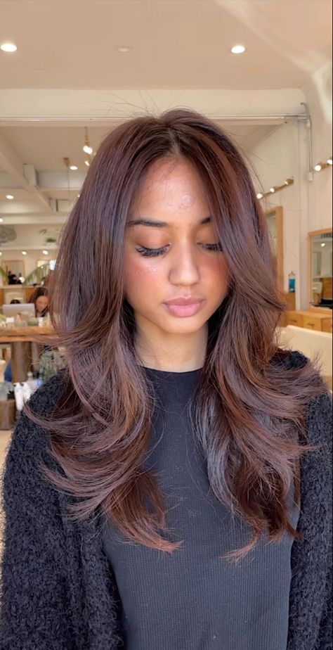 Hair Colours Brown Skin, Dark Auburn Hair On Tan Skin, Brown Hair Plum Highlights, Asian Hair Balayage Red Dark Brown, Brunette With Hint Of Red, Fall Asian Hair, Hair Gloss Color Ideas, Medium Cherry Brown Hair, Dark Brown Hair Balayage Auburn Red Ombre