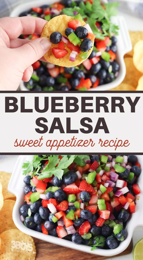 Blueberry Salsa Recipe, Easy Blueberry Recipes, Blueberry Salsa, Strawberry Salsa Recipe, Sweet Salsa, Best Salsa Recipe, Jungle Theme Baby Shower, Sweet Appetizer, Watermelon Salsa