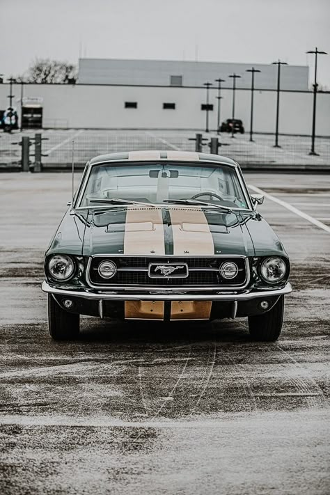 1967 Mustang aesthetic Old Ford Mustang, Ford Mustang Vintage, Old Mustang, Mustang 1969, Mustang Gt 350, Ford Mustang 1969, Mustang 1967, Ford Mustang Wallpaper, Ford Mustang 1967