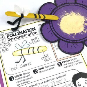 craft stick bee model and diagram for pollination STEM activity Pollinator Stem Activity, Plants Science Activities, Animal Science Activities, Pollination Activity, Butterfly Life Cycle Activity, Lesson Plan Binder, Engineering Challenges, Student Crafts, Bee Activities