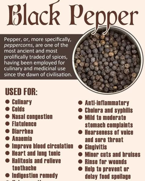 Benefits Of Black Pepper, Pepper Benefits, Herbal Benefits, Indigestion Remedies, Food Spoilage, Ayurvedic Healing, Food Health Benefits, Herbs For Health, Natural Health Remedies