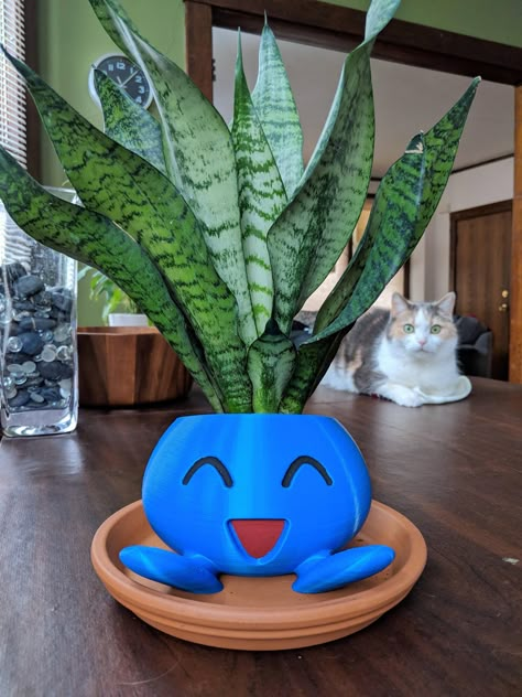 Found the perfect plant for the Oddish planter I got for Christmas Pokemon Plant Pot, Oddish Planter, Pokemon Garden, Oddish Pokemon, Pokemon Planter, Cute Planters, Nerd Decor, Pokemon Room, Plant Pot Design