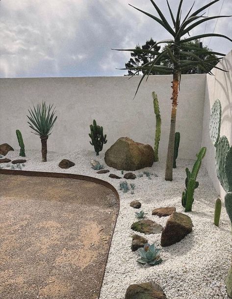 Sand Yard Ideas Backyards, Cactus Front Garden, Easy Desert Landscape Ideas, Low Maintenance Desert Landscaping, Desert Scape Backyard, Cactus Garden Landscaping Front Yards, Desert Style Landscaping, Diy Desert Landscaping, Desert Yard Landscaping