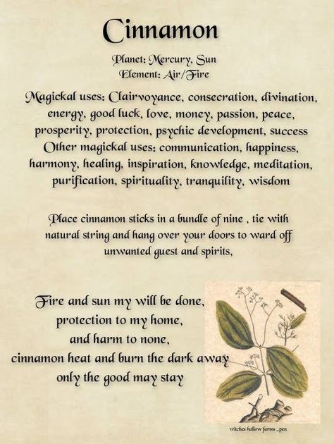 What Does Cinnamon Do In Witchcraft, What Is Cinnamon Good For Witchcraft, Cinnamon Correspondences, Cinnamon Spiritual Meaning, Witchcraft Cinnamon, Cinnamon Magick, Cinnamon Witch, Cinnamon Herb, Witches Herbs