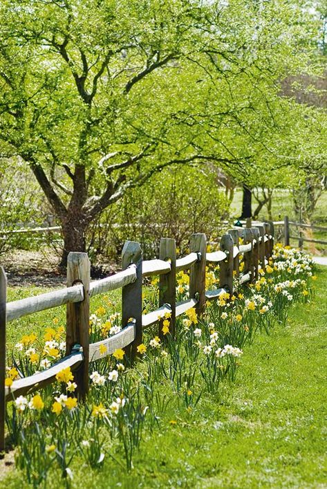 Country Fences, Country Garden Decor, Rustic Fence, Fencing Ideas, Fence Landscaping, Wooden Fence, Garden Fencing, Garden Cottage, Farm Gardens