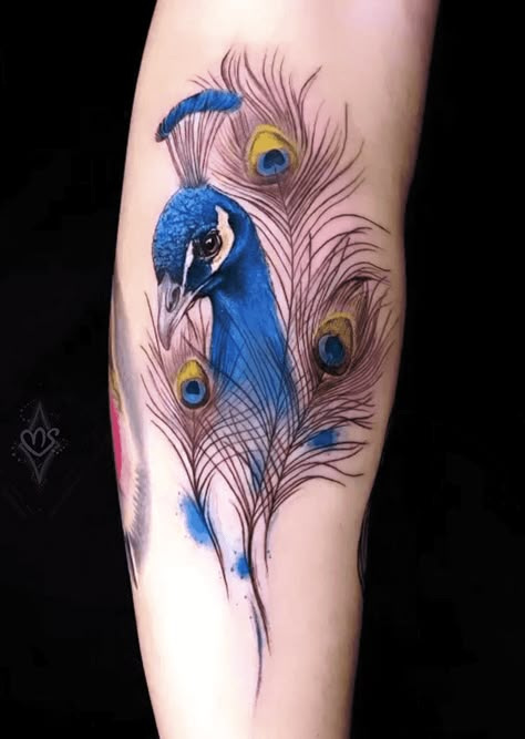 Peacock Tattoo Design Images (Peacock Ink Design Ideas) Peacock Tattoo For Man, Feminine Peacock Tattoo, Unique Peacock Tattoo, Small Peacock Tattoo For Women, Peacock Tattoo Sleeve For Women, Peacock With Flowers Tattoo, Realistic Peacock Tattoo, Peacock Feather Hand Tattoo, Peacock Tattoo Designs For Women