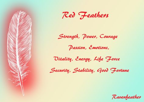 Red Feathers Red Feather Meaning, Cardinal Feather Meaning, Red Feather Tattoo, Feather Color Meaning, Feather Magic, Feather Meaning, Feather Symbolism, Pagan Festivals, Angel Signs