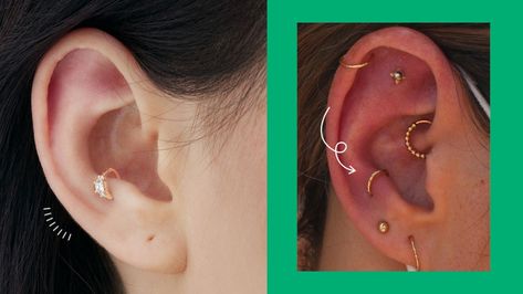 Anti Tragus Piercing, Anti Tragus, Tragus Piercing, Tragus Piercings, Tragus, Ear Piercings, Piercings, Healing, Google Search