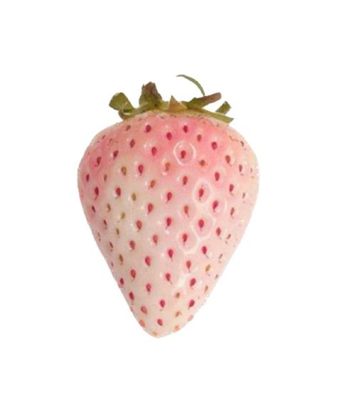 White Strawberry Aesthetic, Pink Strawberry Png, Pink Strawberry Icon, Strawberry Widget, Pink Strawberry Aesthetic, Coquette Pngs, Pink Pngs, Strawberry Icon, Strawberry Coquette