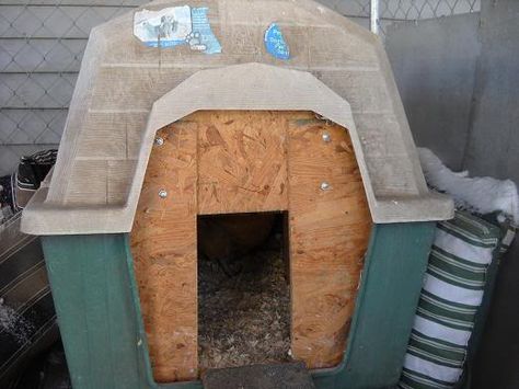 convert a dog house into a chicken coop. Chicken Coop From Dog House, Dog House Chicken Coop Diy, Dog House Chicken Coop, Igloo Dog House, Plastic Dog House, Diy Ponds Backyard, Backyard Hammock, Puppy House, Backyard Shade