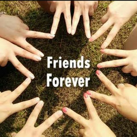 Frnds Forever Dp, Friendship Dp Pics, Friends Forever Dp For Whatsapp, Friends Forever Pictures For Dp, Friends Images Friendship, Friends Forever Dp, Best Friends Dp, Dp For Friends, Friendship Dp