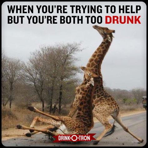 Drink-O-Tron Drunk Meme Drunk Photos, Drunk Memes, Drunk Friends, Drunk Humor, Funny Pictures With Captions, Memes Of The Day, Drinking Humor, Funny Picture Quotes, Funny Cat Pictures