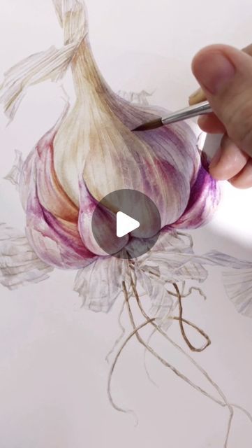 Nature Painting Watercolor, Garlic Painting, Watercolors For Beginners, Aquarel Painting, Watercolor Vegetables, Opaque Watercolor, Orchid Drawing, Contemporary Botanical Art, Canvas Art Painting Abstract