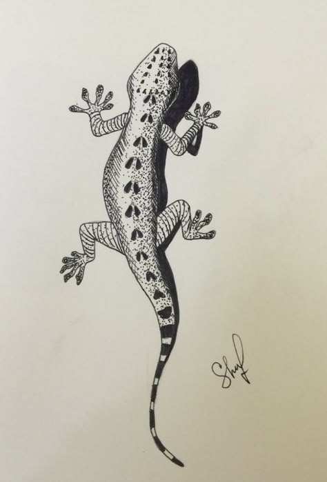 Gecko Drawing Realistic, Skink Lizard Tattoo, Tokay Gecko Tattoo, Leopard Gecko Sketch, Gekko Tattoo, Gecko Sketch, Leopard Gecko Tattoo, Luigi Tattoo, Lizard Sketch