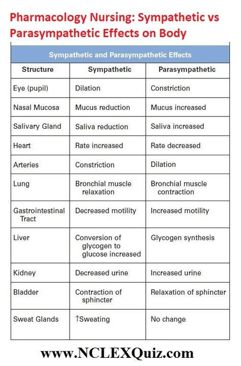 Cardio Pharmacology, Ans Pharmacology Notes, Vet Med Cheat Sheet, Agonist Vs Antagonist Pharmacology, Sympathetic Vs Parasympathetic, Paramedic Notes, Pharmacy Notes, Writing Drafts, Pharmacology Nursing Study