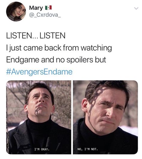 Dc Movies, Avengers Memes, Marvel Jokes, Avengers Endgame, Marvel Funny, Marvel 3, Marvel Memes, Marvel Stuff, Avengers Assemble