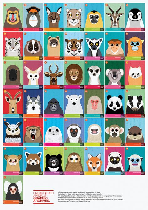 Endangered Animals Activities, Endangered Animals Project, Endangered Species Art, Animals Graphic, 카드 디자인, Animal Activities, Red Dot Design, Animal Graphic, Endangered Animals