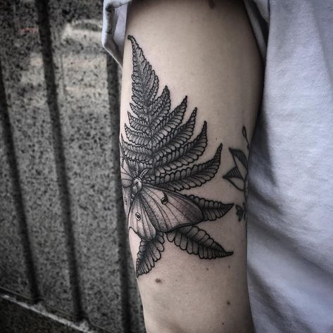 Sierra Jacobs’s Instagram post: “Luna moth and fern on Angel from yesterday! Thanks again! 🌿 #lunamoth #lunamothtattoo #fern #ferntattoo #nature #naturetattoo #blackwork…” Unique Fern Tattoo, Fern And Moth Tattoo, Silver Fern Tattoo, Fern Geometric Tattoo, Unfurling Fern Tattoo, Bracken Fern Tattoo, Luna Moth Tattoo, Fern Tattoo, Moth Tattoo