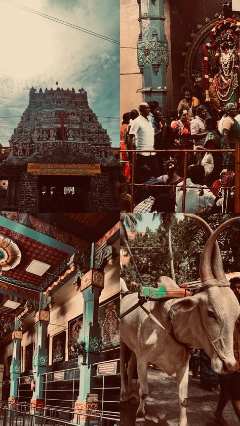 Tamil culture | desi academia | dark Tamil Culture Photography, South Aesthetic, Tamil Ponnu, Tamil Aesthetic, Temple Aesthetic, South Indian Culture, Tamil Culture, Indian Fast Food, South Indian Temple