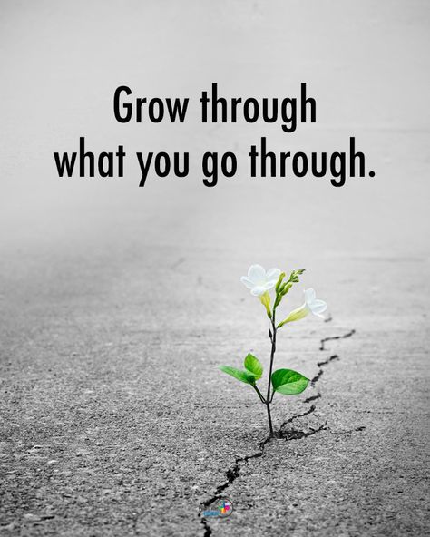 Grow Thru What You Go Through, Grow Through What You Go Through, Relaxation Spa, Buddhism Quotes, Positive Energy Quotes, Beautiful Outdoor Wedding, Energy Quotes, Best Vacation Spots, Relaxation Meditation