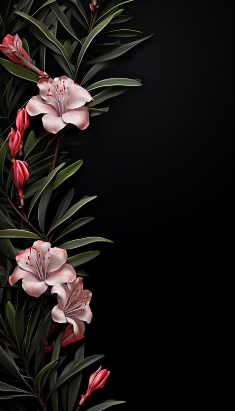 Tamplets Design Photo, Pretty Wallpapers Hd, Diy Paper Wall Hanging, Hd Flower Wallpaper, Arte Aesthetic, Purple Flowers Wallpaper, Photo Frame Wallpaper, Beautiful Wallpapers For Iphone, Flower Graphic Design