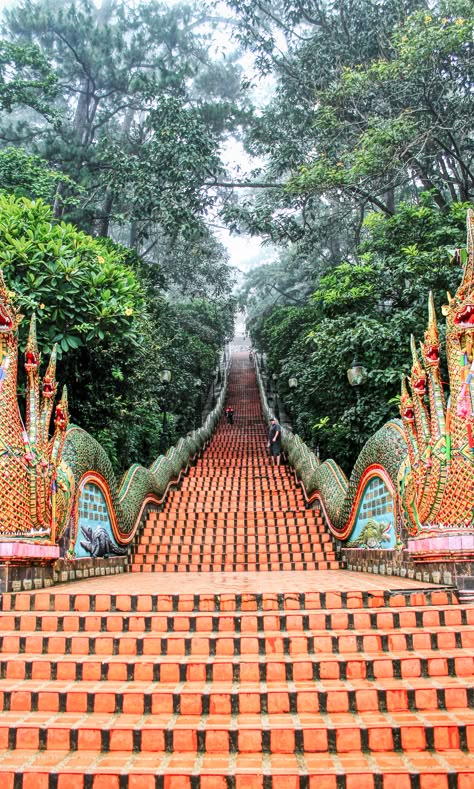 Doi Suthep, Thailand Adventure, Thailand Vacation, Thailand Backpacking, Thailand Holiday, Backpacking Asia, Dream Travel Destinations, Future Travel, Chiang Mai