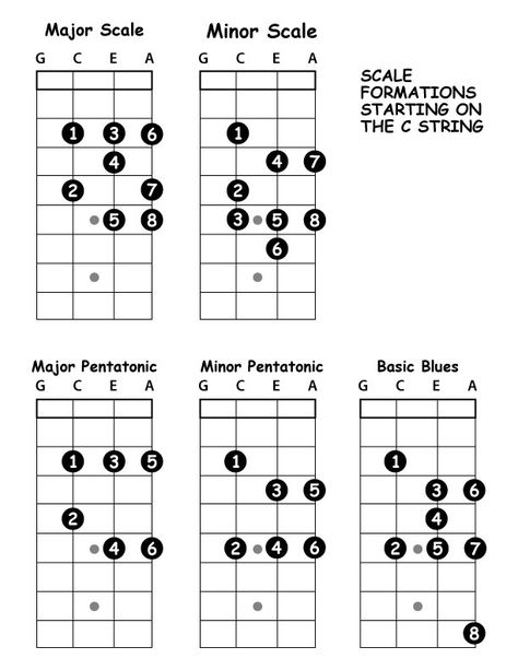 Ukulele Scales Charts, Ukulele Scales Practice, Bass Scales, Ukulele Scales, Ukulele Practice, Bass Guitar Notes, Learn Bass Guitar, Bass Guitar Chords, Ukulele Chords Songs