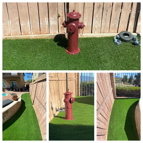 Turf Dog Run, Turf Backyard, Dog Boarding Facility, Dog Backyard, Boarding Facility, Dog Run, Artificial Grass Installation, Dog Area, Fake Grass