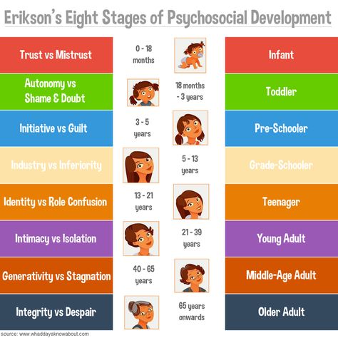 Erickson Stages Of Development, Eriksons Stages Of Development, Erikson Stages, Stages Of Psychosocial Development, Psychosocial Development, Stages Of Human Development, Erik Erikson, Child Development Theories, Child Development Stages