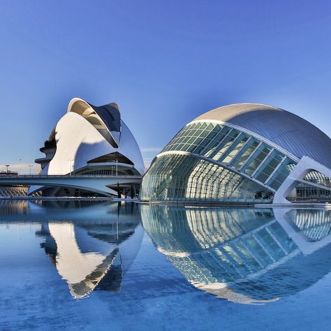 Frank Gehry House, Calatrava Architecture, Santiago Calatrava Architecture, Spain Valencia, Valencia City, Sci Fi City, Architectural Sculpture, Santiago Calatrava, Zaha Hadid Architects