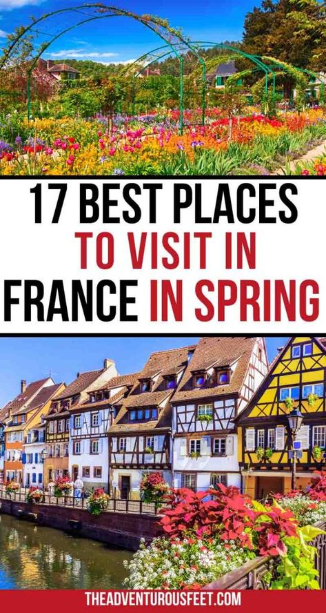 Planning a trip to France during spring but not sure where to go? This post will show you all the best places to visit in spring in France| best places to visit in France in spring| France in springtime| springtime in france| Paris in spring| France in the spring| France in spring destinations. France In Spring, Spring In France, France In April, France Spring, Travel To France, Paris In Spring, Paris Travel Photography, Castles To Visit, Europe 2024