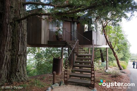 The Tree House - Boronda at the Post Ranch Inn Post Ranch Inn, Beautiful Tree Houses, Treehouse Hotel, Wood Architecture, Radiant Floor, Unique Hotels, Organic Architecture, Beautiful Hotels, Big Sur