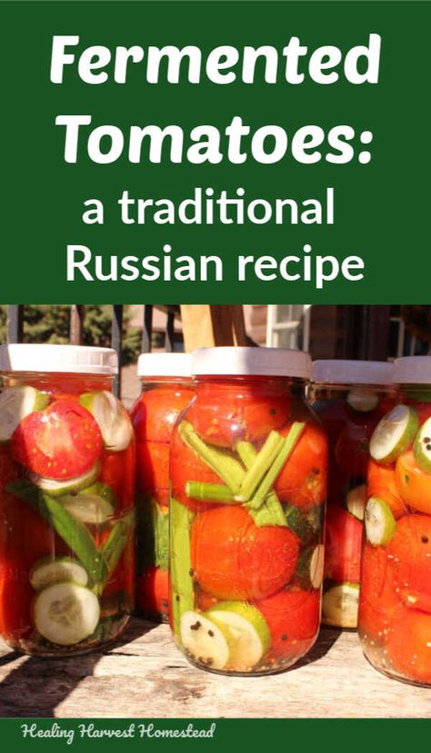 Fermented Tomato Sauce, Fermenting Tomatoes, Fermented Tomatoes, Onion Relish Recipe, Fermented Food Recipes, Too Many Tomatoes, Preserve Tomatoes, Fermented Recipes, Fermented Vegetables Recipes