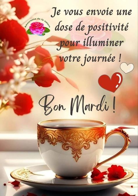 Bon Mardi, Positive Thoughts, Photo Album, Good Morning