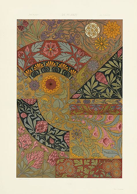 Seder, Anton - Art Nouveau Prints 1890 Anton Seder, Fields Flowers, Flowers Pattern Design, Motifs Art Nouveau, Bijoux Art Nouveau, Art Nouveau Illustration, Art Nouveau Pattern, 카드 디자인, Art Nouveau Design