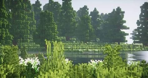 Minecraft Landscape Wallpaper Desktop, Aesthetic Minecraft Scenery, Minecraft Scenery Aesthetic, Minecraft Laptop Wallpaper Aesthetic, Discord Minecraft Banner, Minecraft Macbook Wallpaper, Minecraft Cover Photo, Minecraft Forest Aesthetic, Minecraft Nature Aesthetic