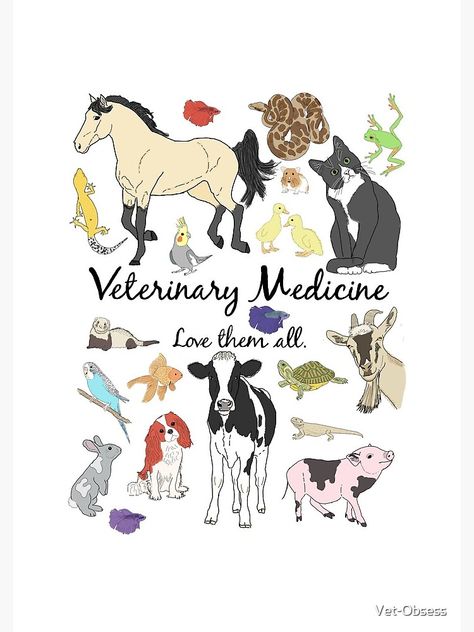 Vet Poster Ideas, Veterinary Caduceus Tattoo, Vet Tech Wallpaper, Vetmed Aesthetic, Veterinary Medicine Wallpaper, Vet Tech Aesthetic, Veterinary Aesthetic, Equine Vet Tech, Veterinary Medicine Student