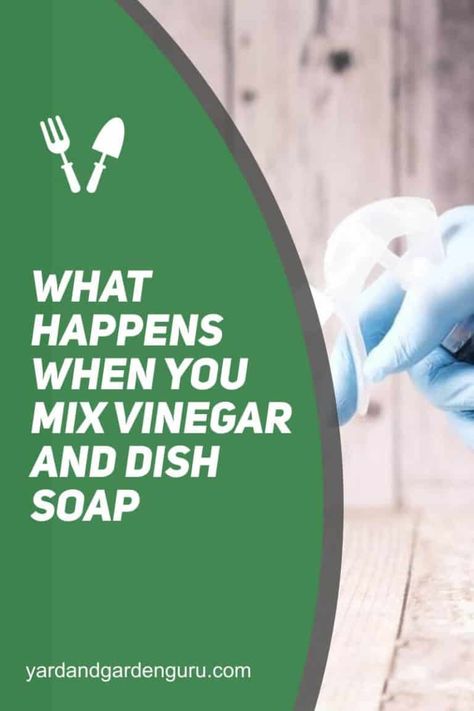 What Happens When You Mix Vinegar And Dish Soap Vinegar And Dish Soap Cleaner, Dawn Dish Soap And Vinegar Cleaner, Diy Carpet Cleaning Solution, Palmolive Dish Soap, Homemade Dish Soap, Vinegar Cleaner, Dawn Dishwashing Liquid, Remove Oil Stains, Hard Water Stain Remover