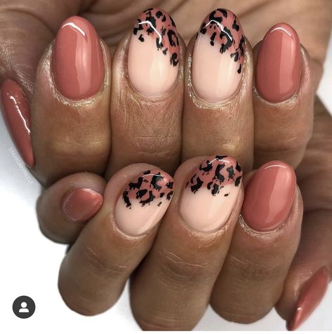 Oct Nails, Glitter Stiletto Nails, Brown Nail Art, Cheetah Print Nails, Nail Piercing, Brown Nail, Cheetah Nails, Amazing Nail Art, Nails Ombre