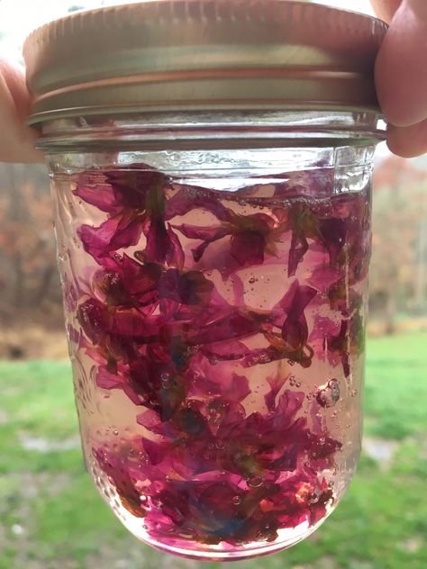 Violet Jam, Flower Jam, I Am Crazy, Wild Edibles, Edible Plants, Jams & Jellies, Violet Flower, Spring Recipes, Canning Recipes