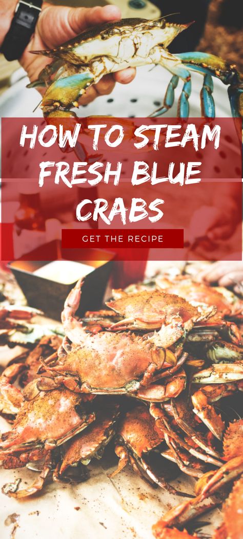 Maryland Blue Crab Recipes, How To Cook Fresh Crab, Steamed Blue Crab, Steamed Crabs Recipe, How To Eat Blue Crab, Fresh Crab Recipes, Blue Crab Recipe, Crabmeat Recipes, Maryland Recipes