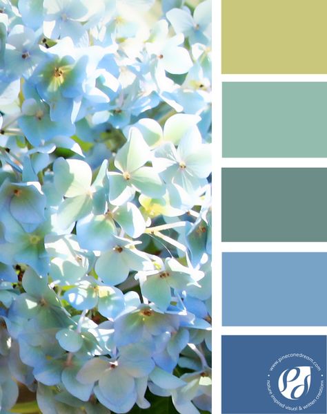 7 gorgeous & easy on eyes color palettes inspired by spring petals for your pastel designs! | Pineconedream by Gyaneshwari Dave Hydrangea Color Palette, Color Palette Pastel, Color Palette Spring, Palette Spring, Calm Color Palette, Hydrangea Colors, Eyes Color, Spring Palette, Spring Color Palette