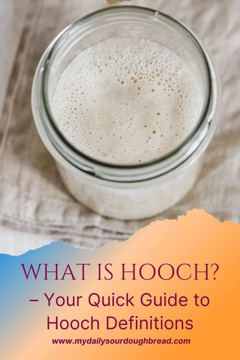 Hooch On Sourdough Starter, Sourdough Hooch, Sourdough Beginner, Sourdough Bread Starter, Hoagie Rolls, Sour Dough, Sourdough Baking, Challah, Sourdough Starter