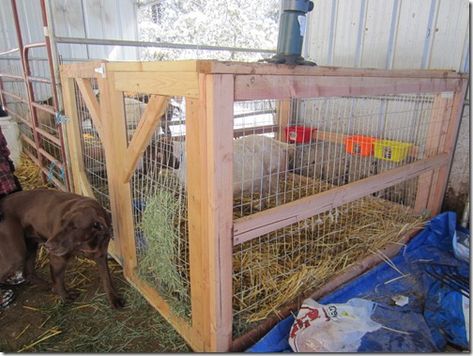 kidding stall Goat Kidding Stall, Goat Kidding Pen, Goat Pens, Big Dog House, Goat Playground, Farm Sheep, Keeping Goats, Pygmy Goats, Goat Pen